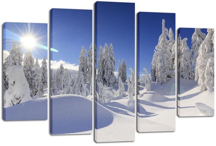 Картина модульная на холсте DK Деревья в снегу 80x108 см (PLM5-199)