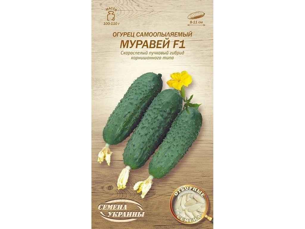 Семена Огурец Насіння України самоопыльный F1 ОВ 0,25 г (633786)