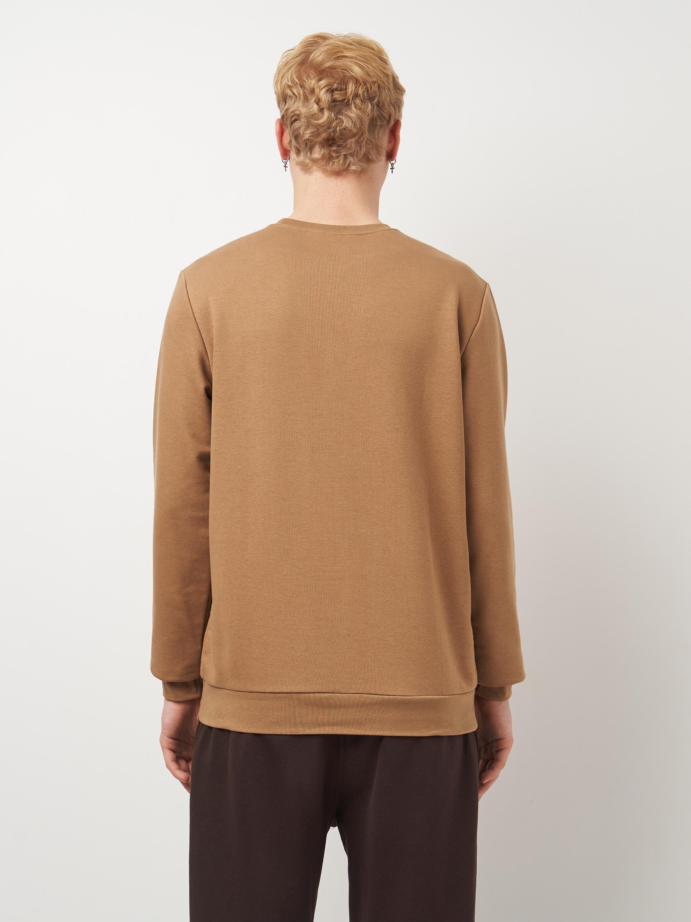 Свитшот мужской ROZA 210542 M Тофи (4824005708770) - фото 3