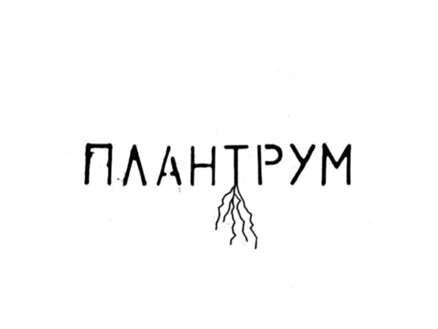 Плантрум