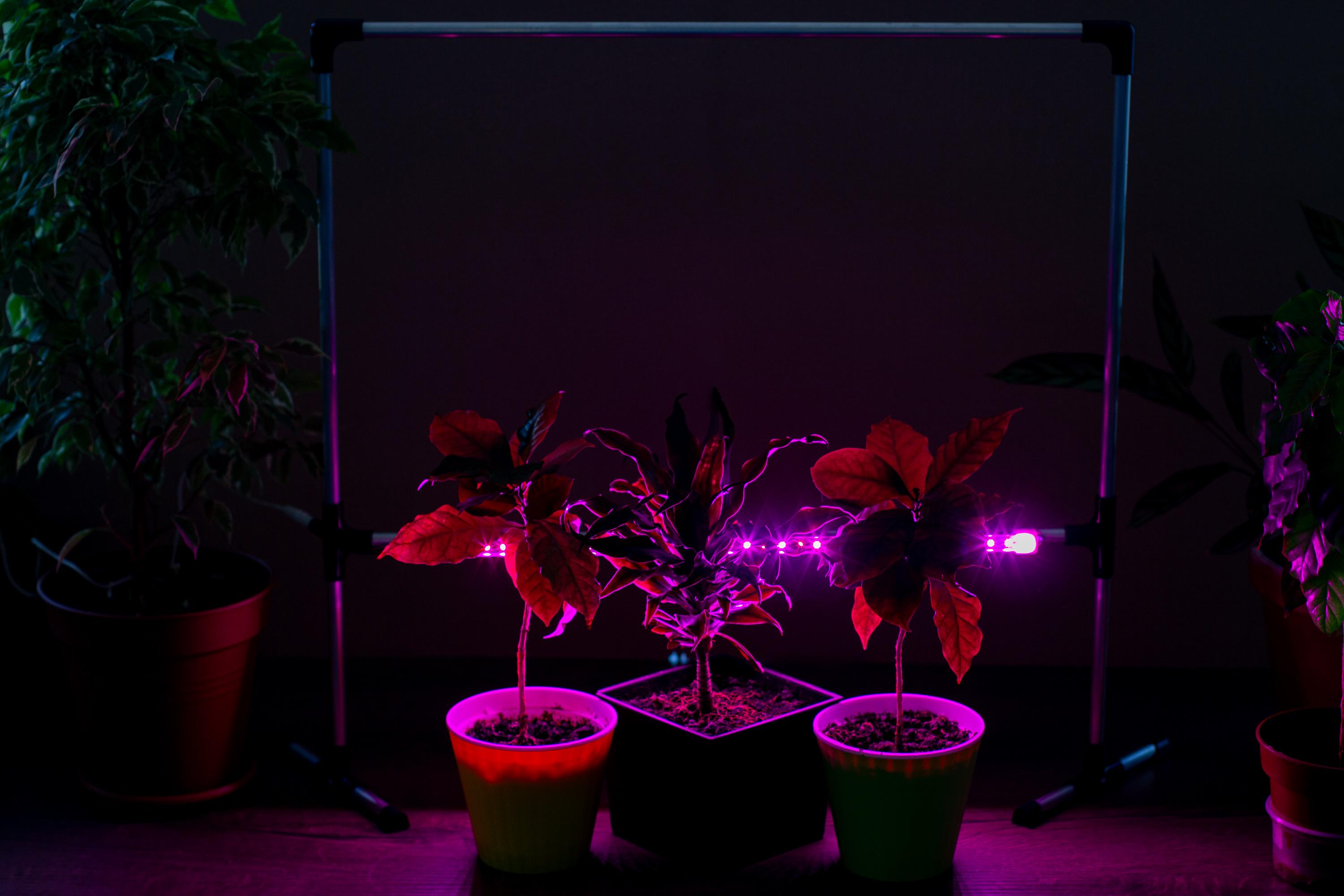 Фіто-світильник для рослин Metaflex Uno Bicolor LED регульований на підвіконня (MetaFlexUnoBi) - фото 10