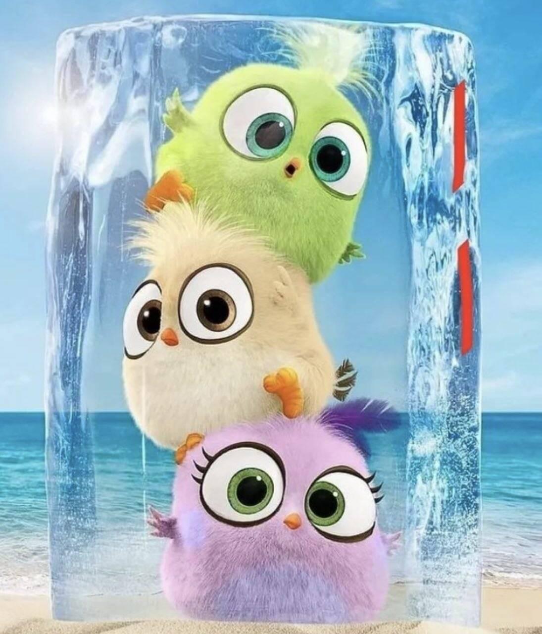 Алмазная мозаика Dream Toys Смешные птенцы на пляже 20х20 см (2987255252)