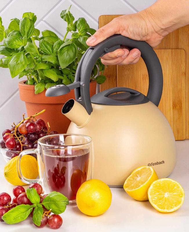 Чайник Ofenbach нержавіюча сталь зі свистком 2,7 л Бежевий матовий (NB-100322) - фото 3 Чайник Ofenbach нержавіюча сталь зі свистком 2,7 л Бежевий матовий (NB-100322) - фото 3