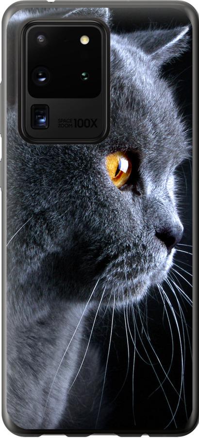 Чехол на Samsung Galaxy S20 Ultra Красивый кот (3038t-1831-42517)
