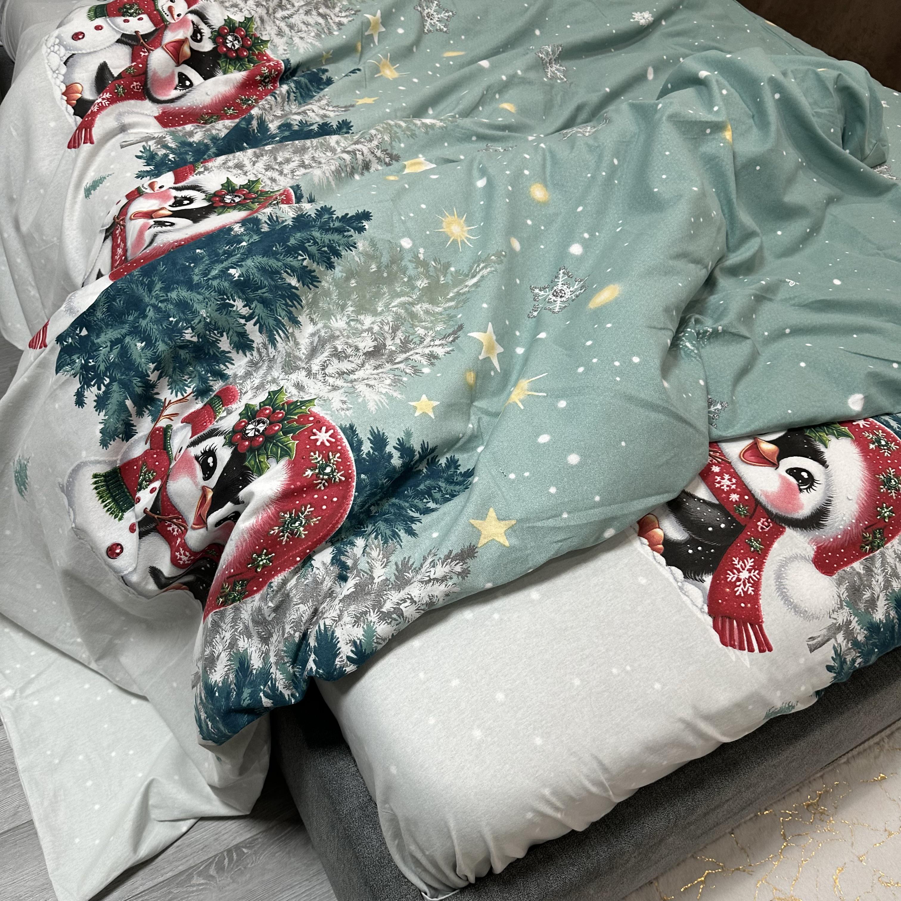 Комплект постільної білизни байкова Зимовий євро Бірюзовий (байка 10-3) - фото 5 Комплект постільної білизни байкова Зимовий євро Бірюзовий (байка 10-3) - фото 5