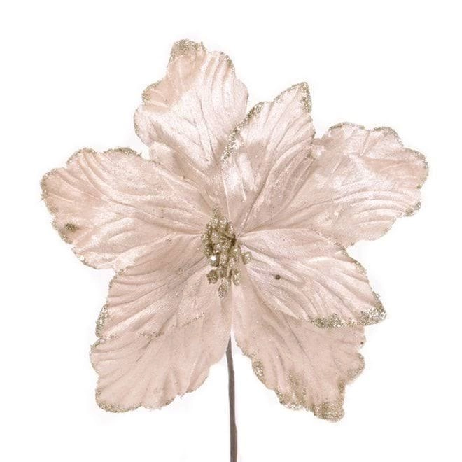 Цветок новогодний Пуансетия Шампань (13123)