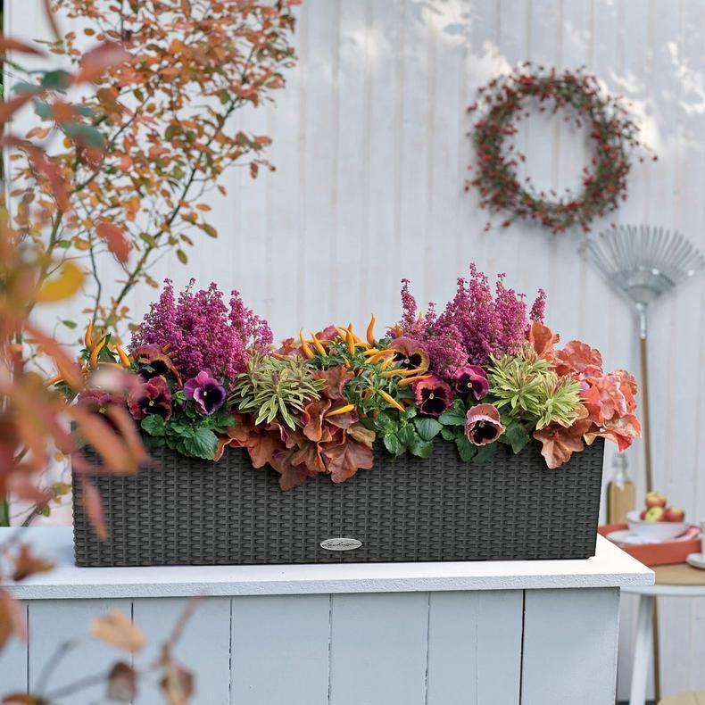 Вазон Lechuza Balconera Cottage 80 Графитовый (A-013651) - фото 5 Вазон Lechuza Balconera Cottage 80 Графитовый (A-013651) - фото 5