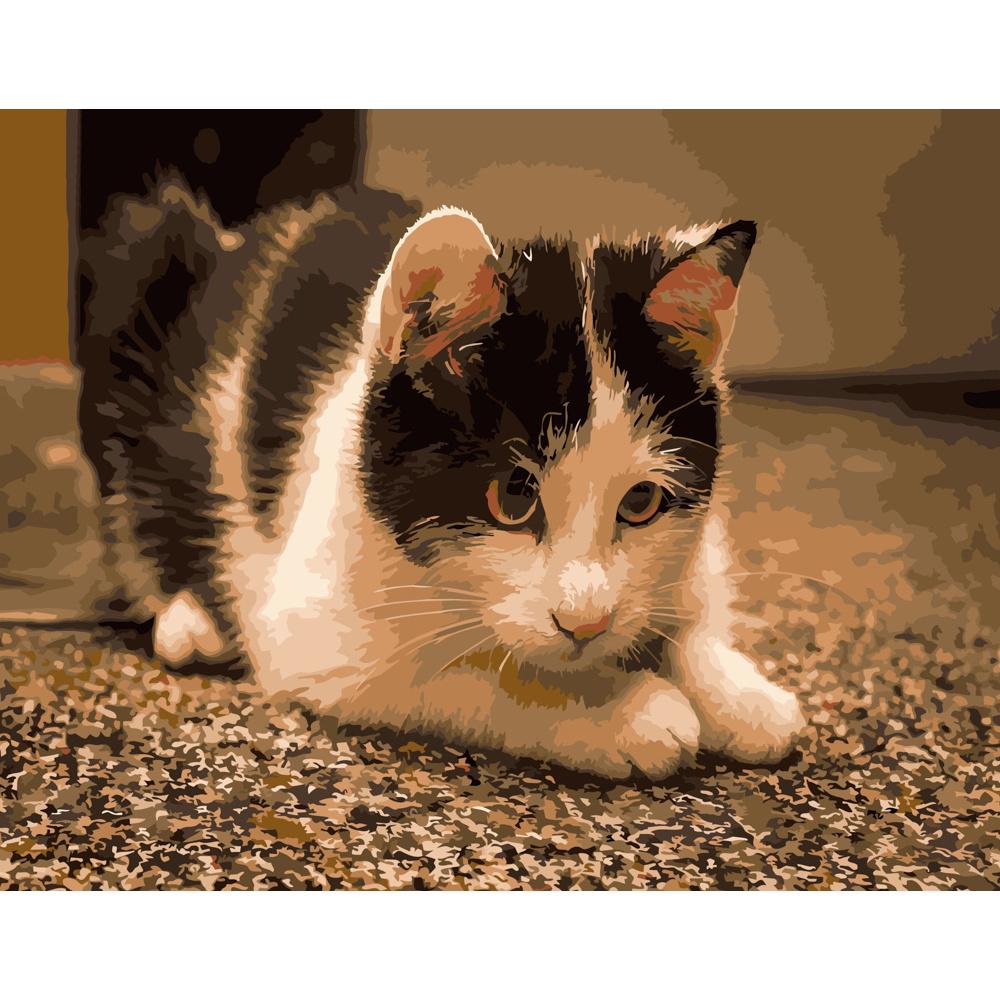 Картина по номерам Strateg Премиум Игривый котик 40х50 см (DY083)