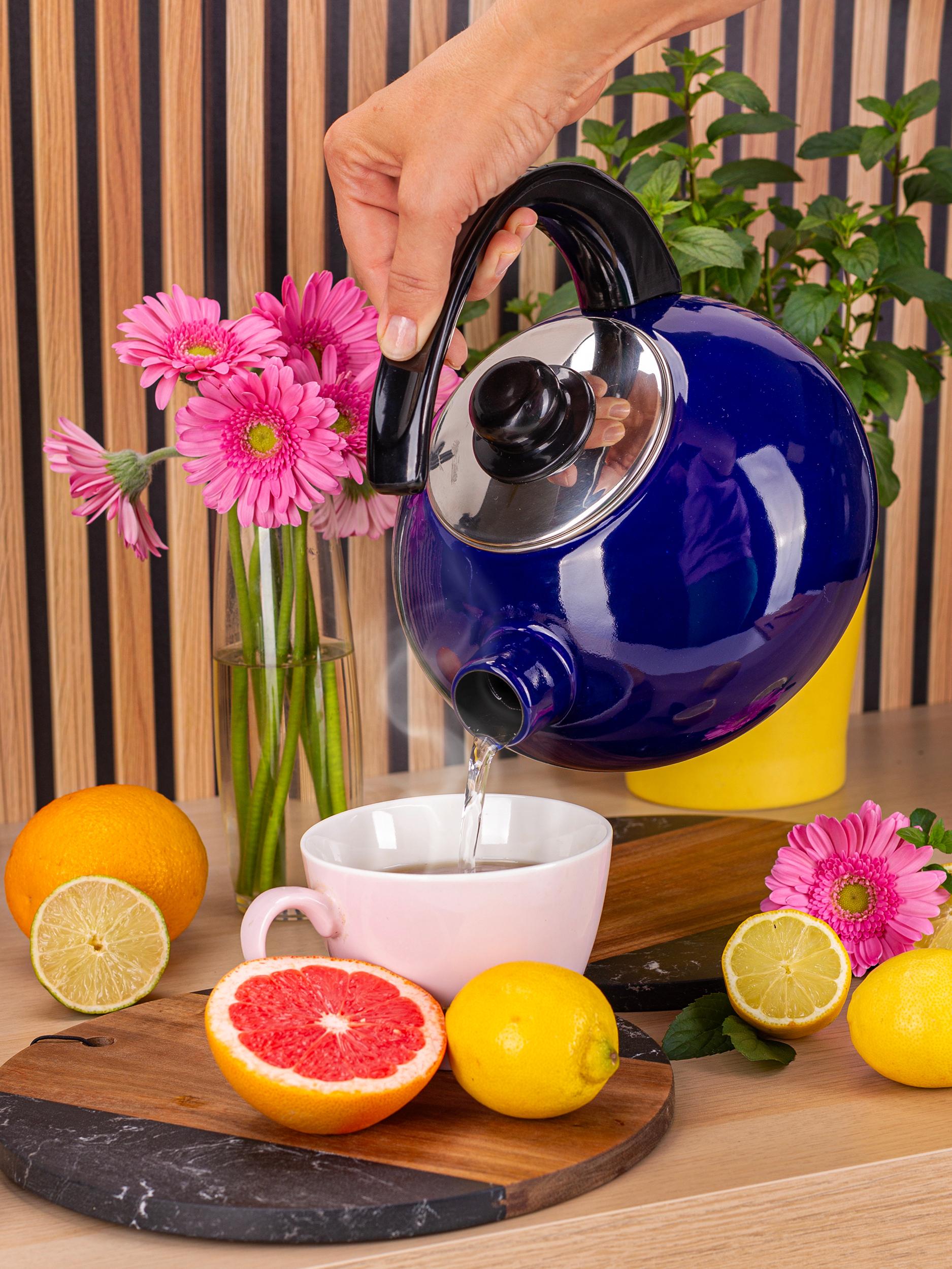 Чайник со свистком Kamille KM-1039С из эмалированной стали 2,5 л Синий (150-84-1039С) - фото 6