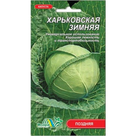 Семена капусты Харьковская зимняя поздняя 0,5 г (26853)