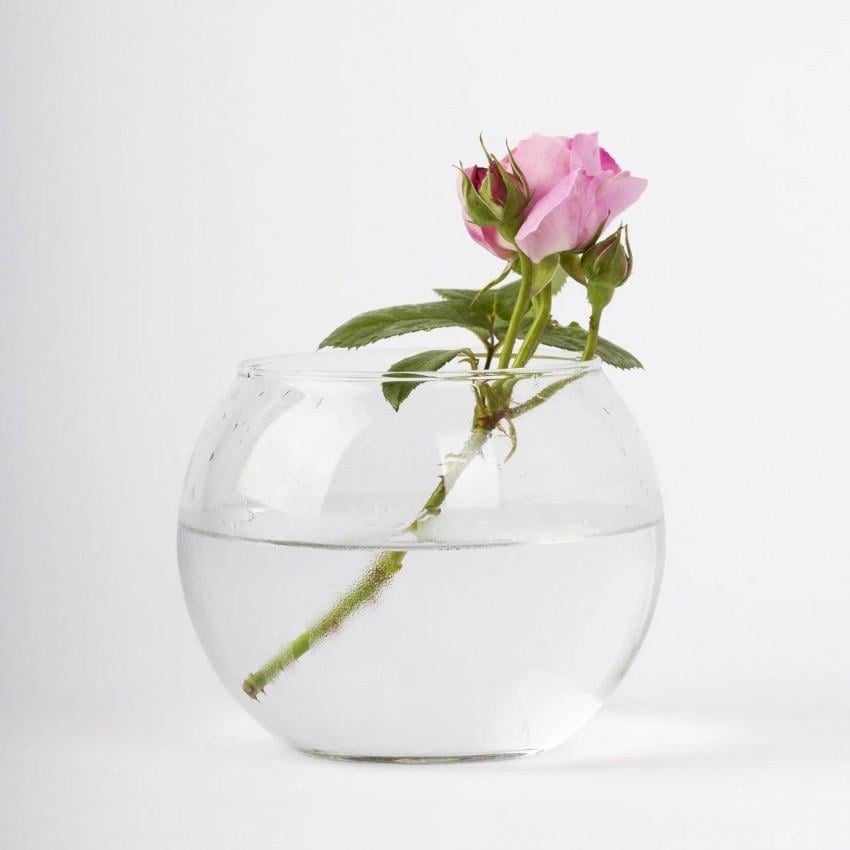 Ваза-шар Mazhura Aquarium 006 MZ BR d 22 см 19 см 5,5 л (1403128258) Ваза-шар Mazhura Aquarium 006 MZ BR d 22 см 19 см 5,5 л (1403128258)