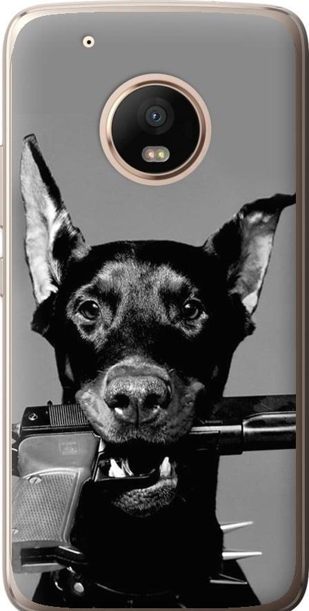 Чехол на Motorola Moto G5 PLUS Доберман (2745t-1038-42517)