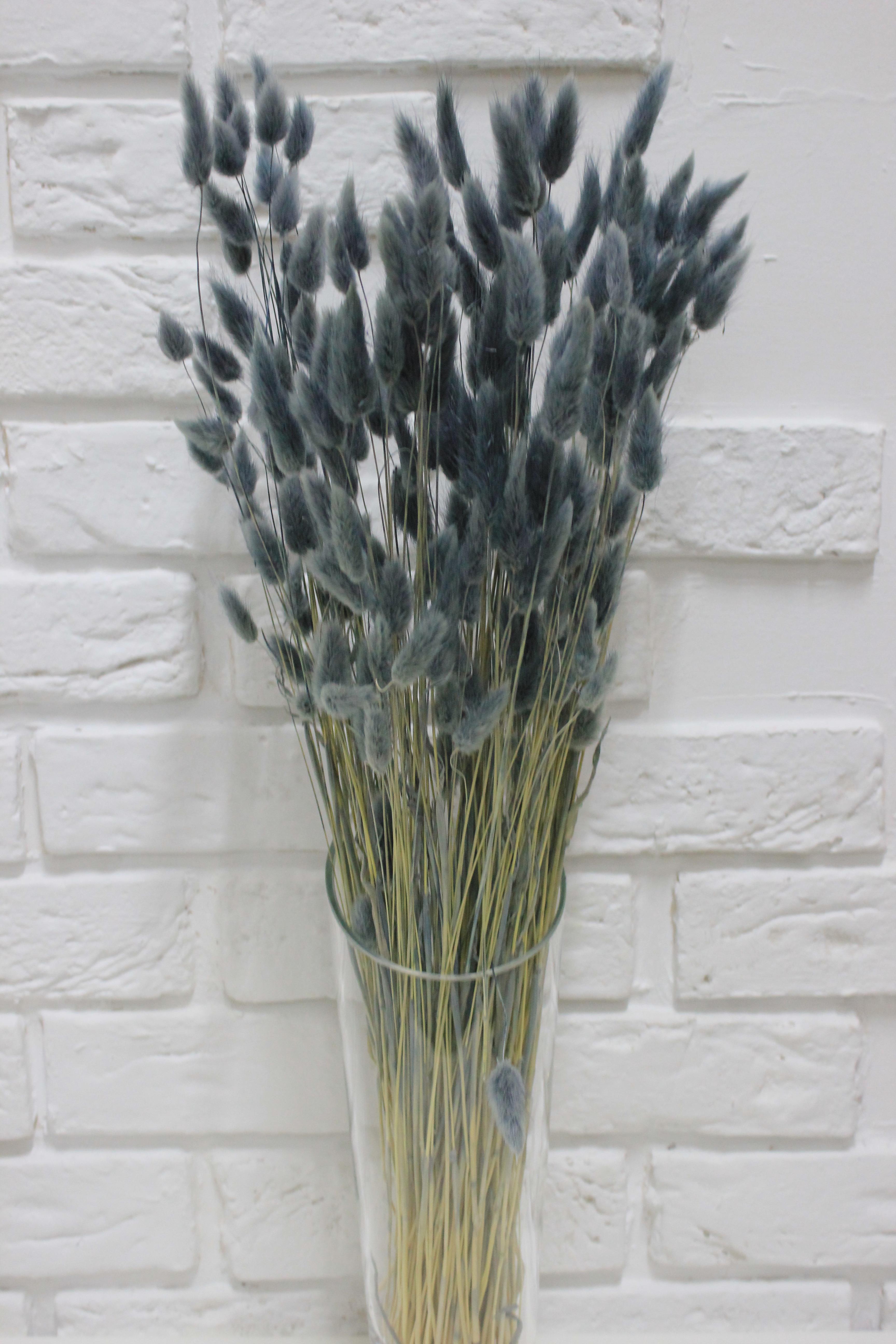 Ларгус Ovatus сушеный букет Пастельно-синий (CP6-LAG-LC)