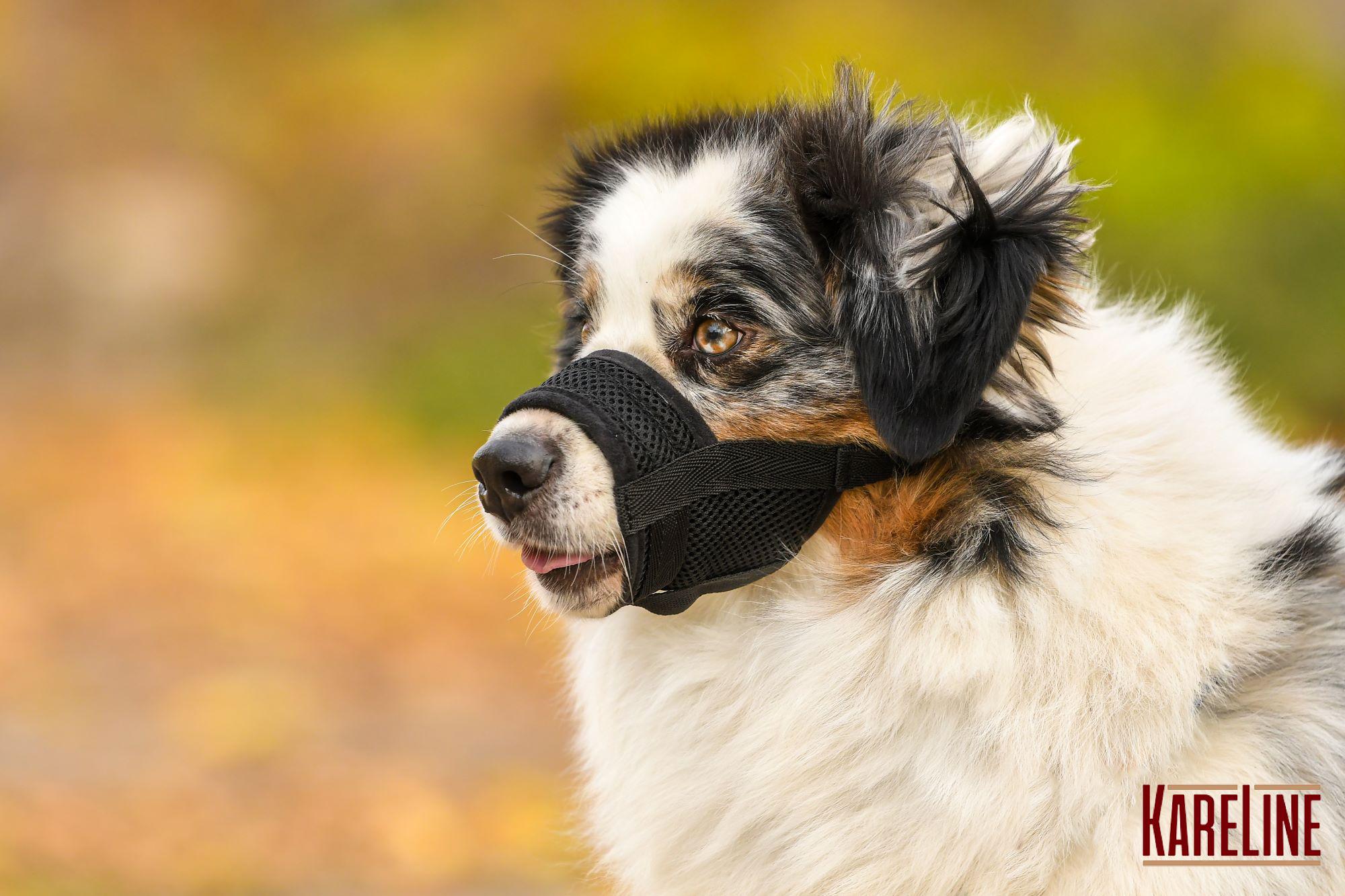 Намордник сетка KareLine из нейлона для ротвейлера XXL (0536/1) - фото 2 Намордник сетка KareLine из нейлона для ротвейлера XXL (0536/1) - фото 2