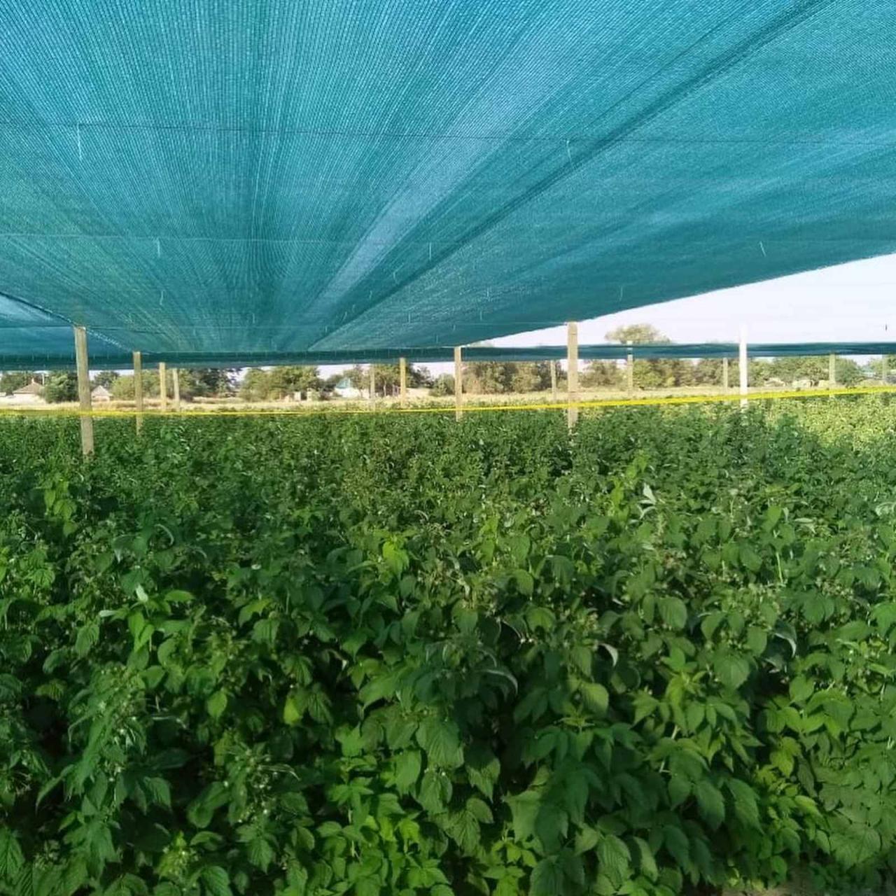 Сетка затеняющая 60% 8 м 1 м (MTA0399) - фото 7 Сетка затеняющая 60% 8 м 1 м (MTA0399) - фото 7