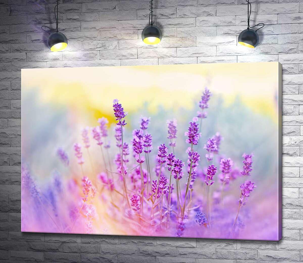Картина ArtPoster Душистый куст лаванды на рассвете 50x35 см Модуль №1 (002951)