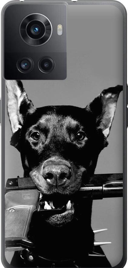 Чехол на OnePlus 10R Доберман (2745u-2627-42517) Чехол на OnePlus 10R Доберман (2745u-2627-42517)