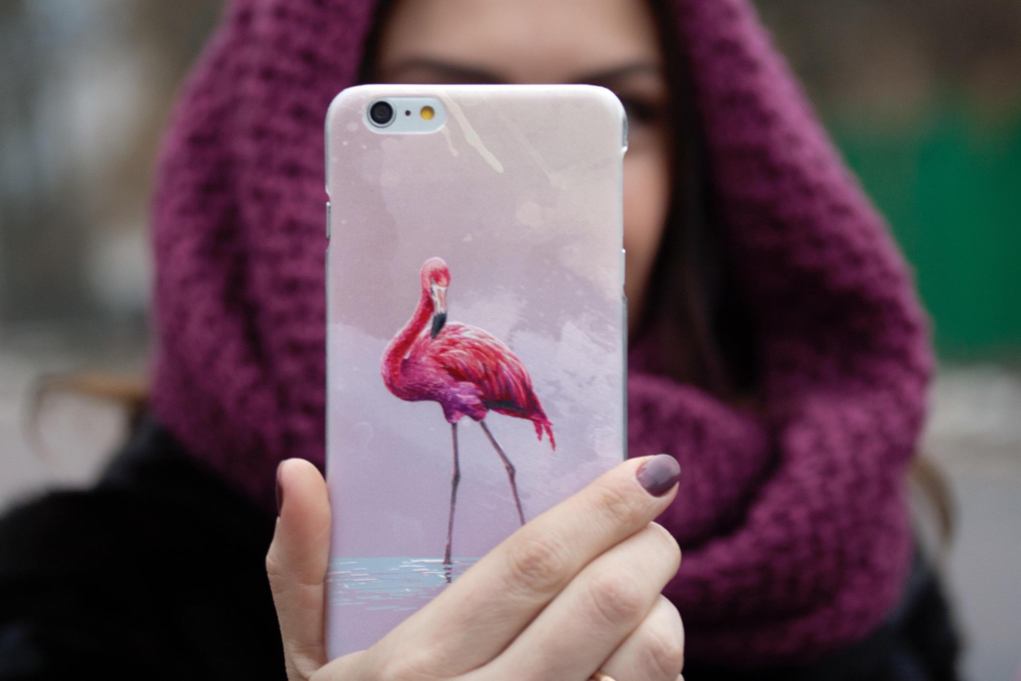 Силиконовый чехол Zorrov для Apple iPhone X - Flamingo (10290050153033515) - фото 2