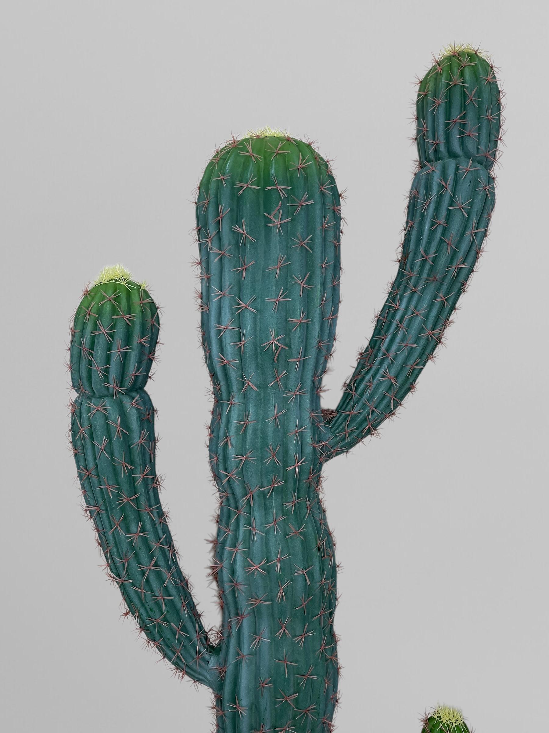 Искусственный декоративный кактус без горшка 205 см Зеленый (Р06004) - фото 3 Искусственный декоративный кактус без горшка 205 см Зеленый (Р06004) - фото 3