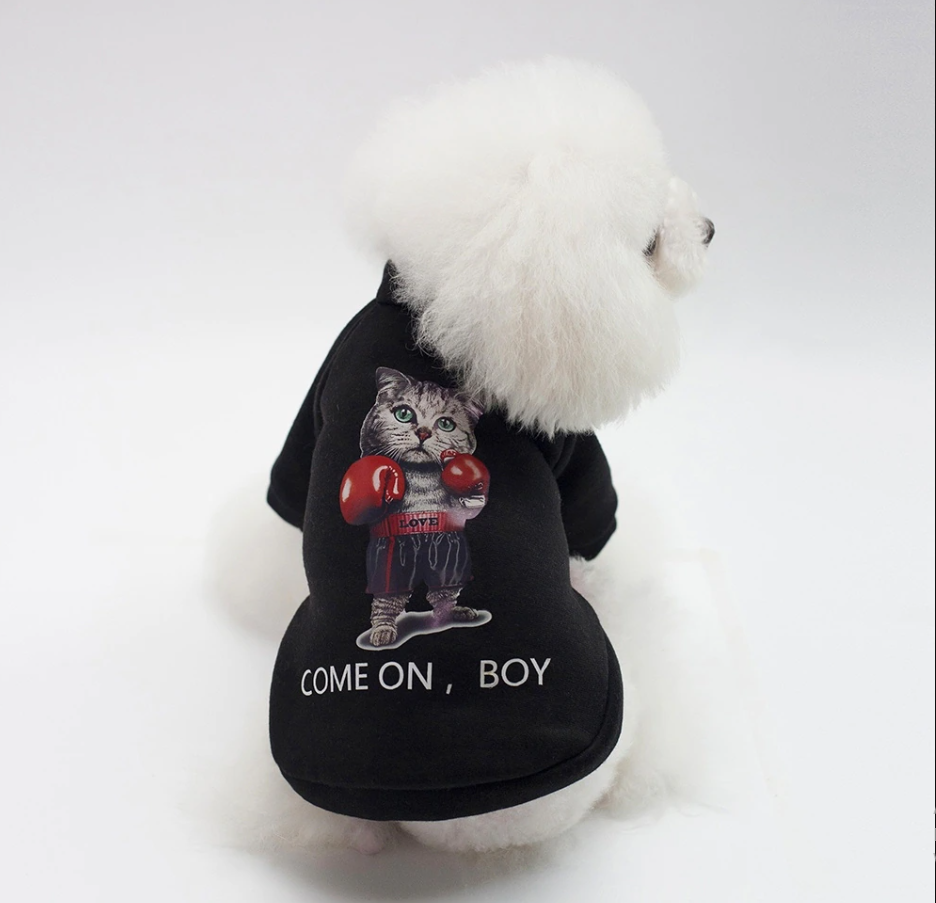 Свитшот для собак и котов с ярким принтом M Черный (00000007383)