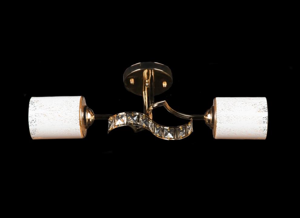 Люстра с плафонами Splendid Ray (L9596A/2 FGD)