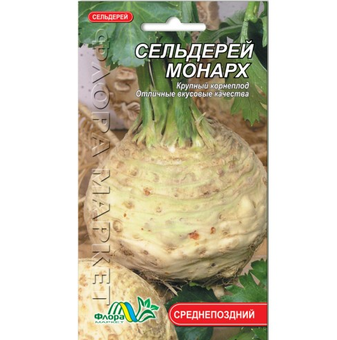 Насіння Селера монарха середньопізня 0,2 г (26653) - фото 1