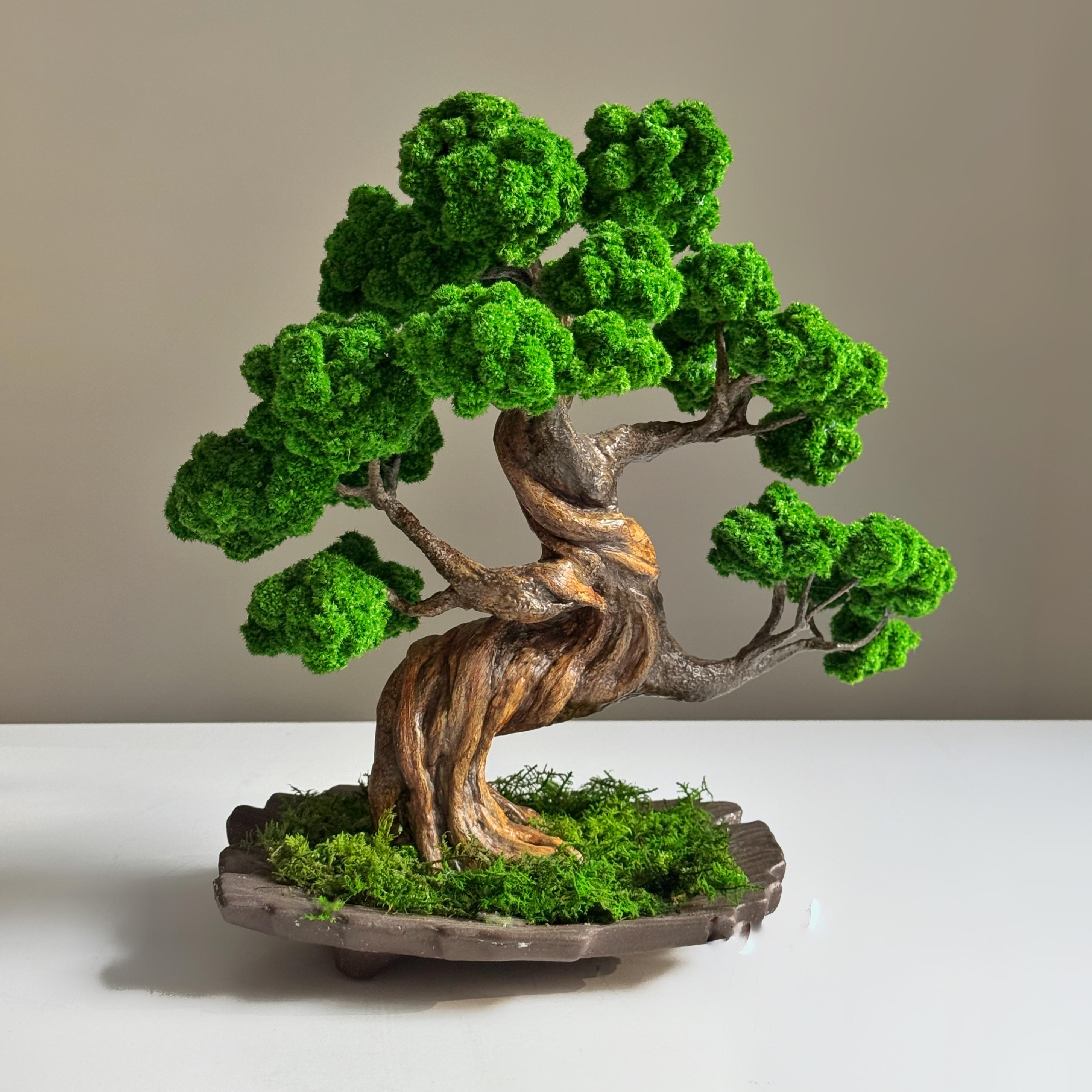 Бонсай зі стабілізованих рослин 25х23 см