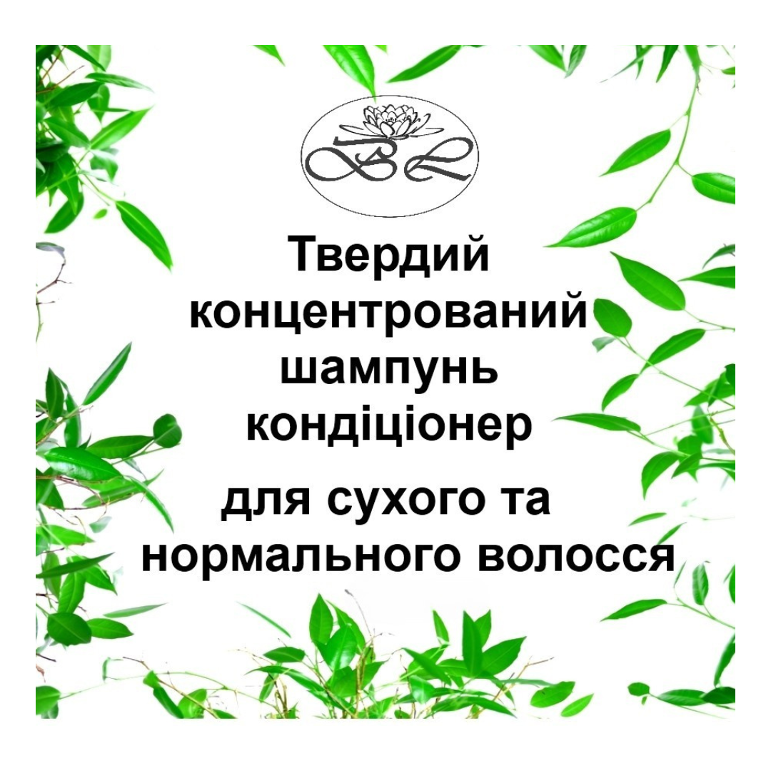 Шампунь твердий натуральний Bila Lileya безсульфатний 2в1 для сухого і нормального волосся