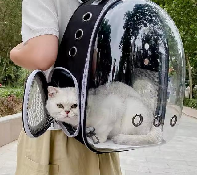 Сумка перенесення для котів Daegun Guangdong Cat Carrier Bag 35 л 35x42x25 см Прозорий (27776546) - фото 3 Сумка перенесення для котів Daegun Guangdong Cat Carrier Bag 35 л 35x42x25 см Прозорий (27776546) - фото 3
