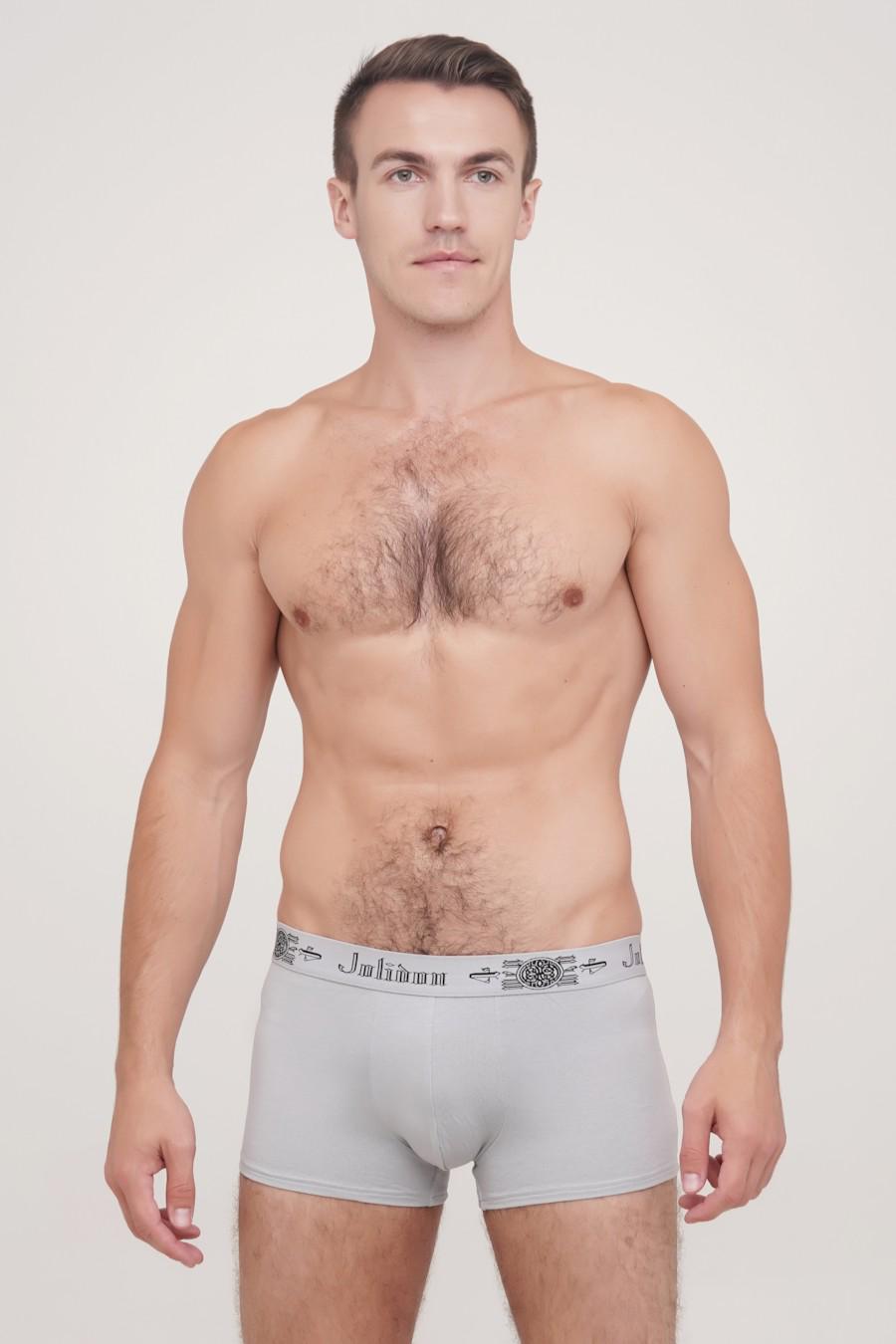 Трусы боксеры Jolidon р. 54/2XL Серый (76841)