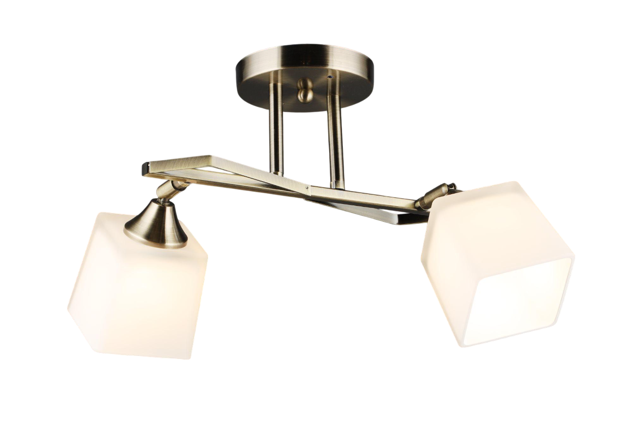 Потолочная люстра Valeso AB на 2 плафона (B N6651/2)