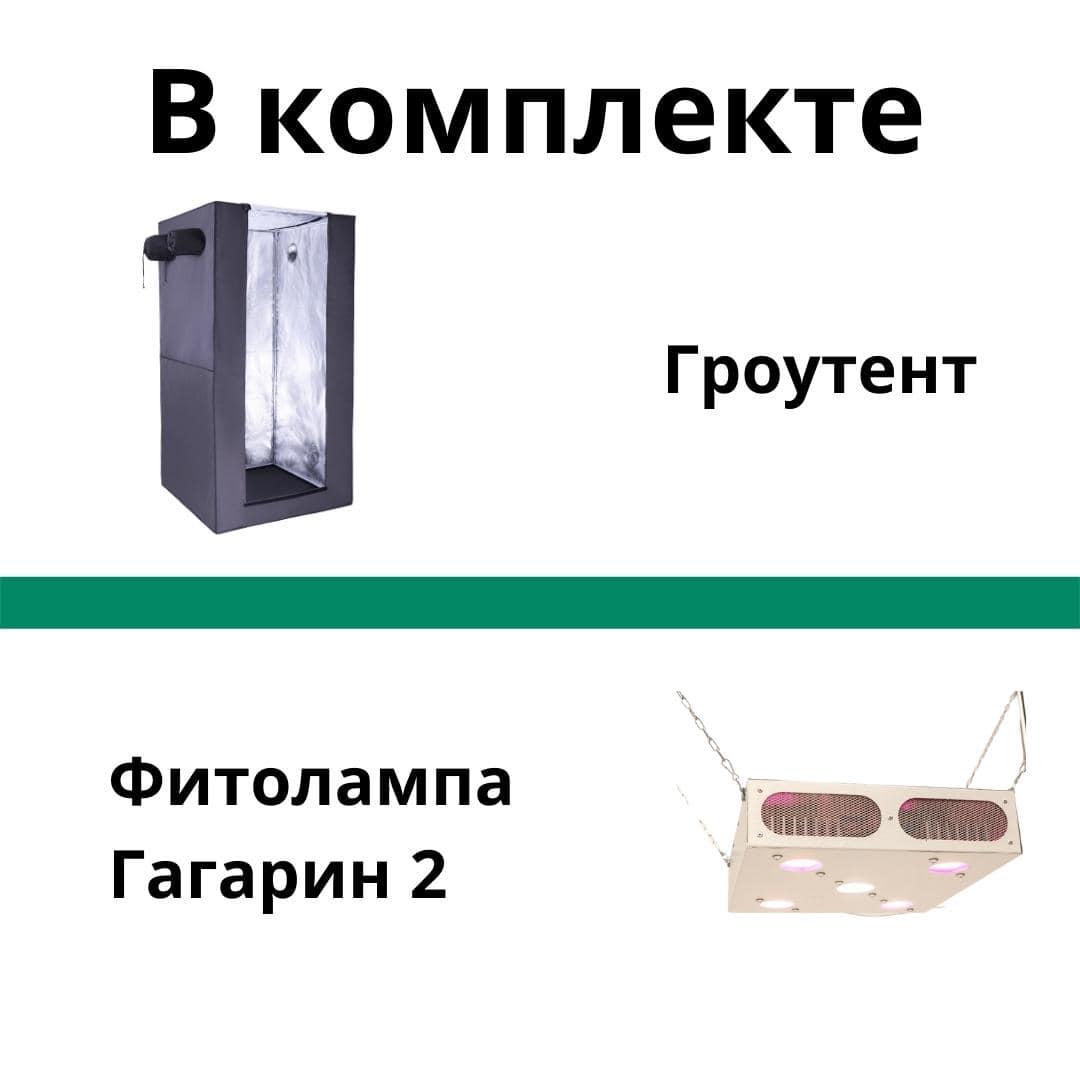 Гроубокс под ключ Джин с лампой Гагарин 2 100х100х200 см 250 Вт (7004) - фото 2