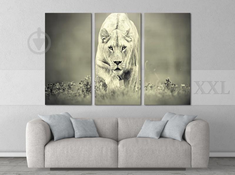 Модульна картина Poster-land Тигр Art-207_XXL