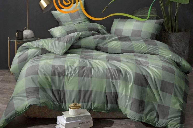 Комплект постільної білизни Grid євро поліестер 200х220 см (T75-0406g/E)