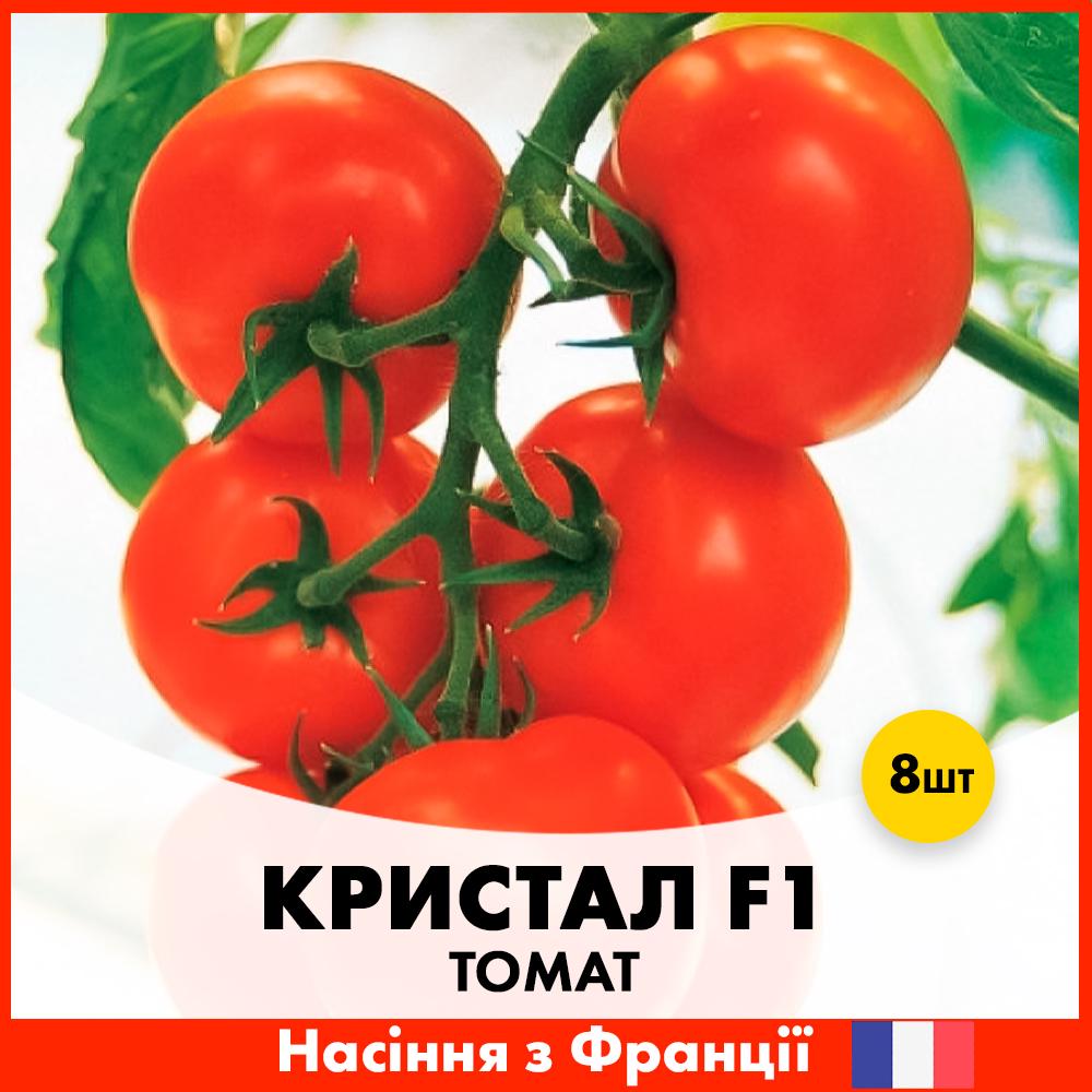 Семена томата Clause Кристалл F1 8 шт. (R30123)