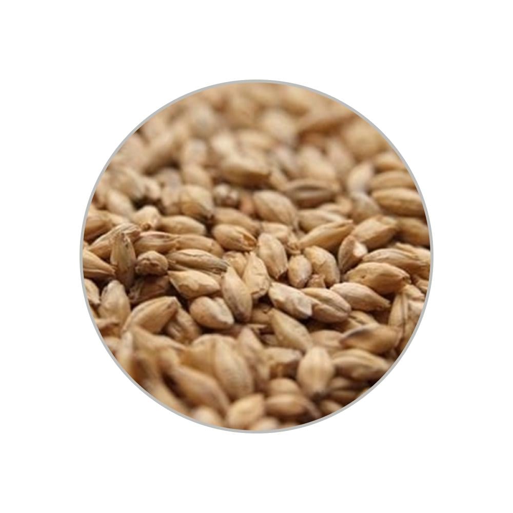 Солод для дистилляции Distilling Barley EBC 3-5 1 кг (16944)