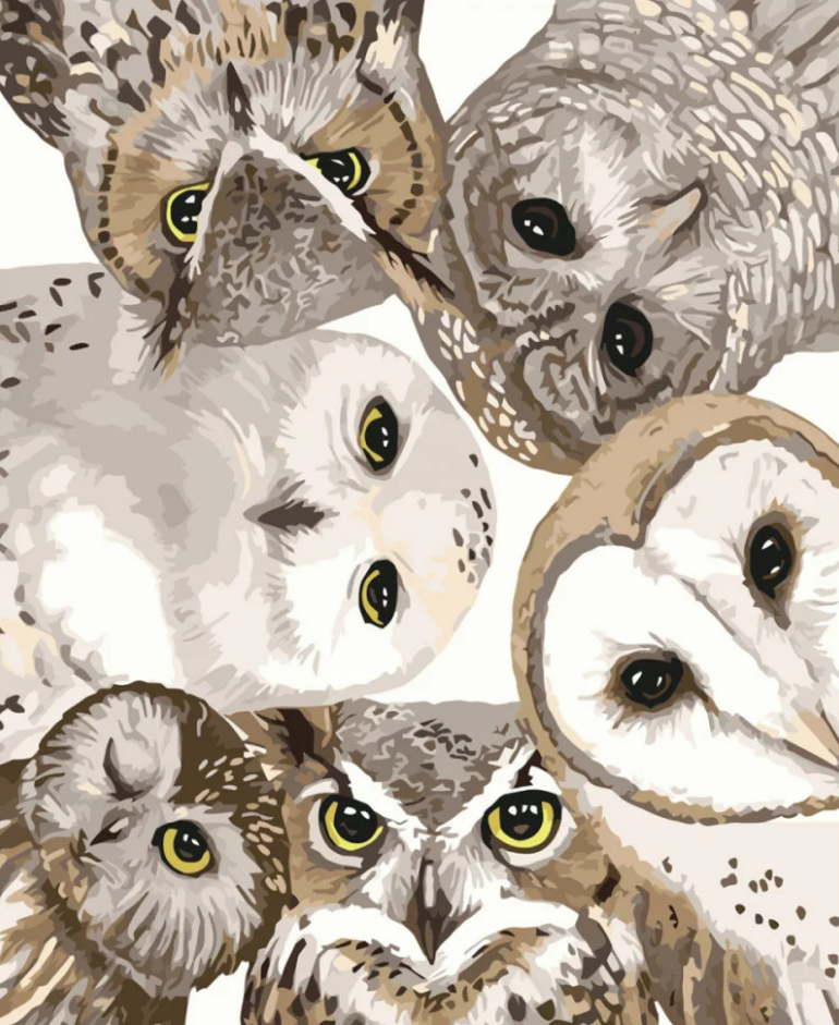 Картина по номерам Strateg Глаза совенят 40x50 см (VA-3666)