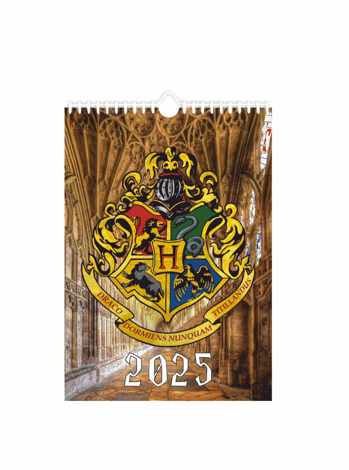 Календарь настенный перекидной А3 на 2025 год Гарри Поттер (22775445)