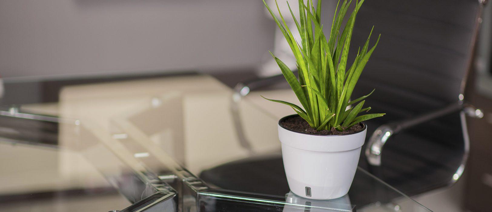 Горшок для цветов ASTI 15 л Белый/Черный - фото 2