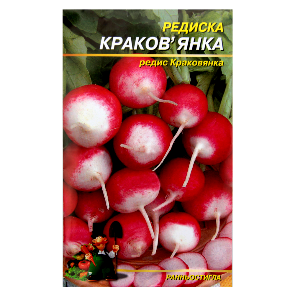 Семена редиса Краковянка красный с белым кончиком круглый раннеспелый 10 г (24272)