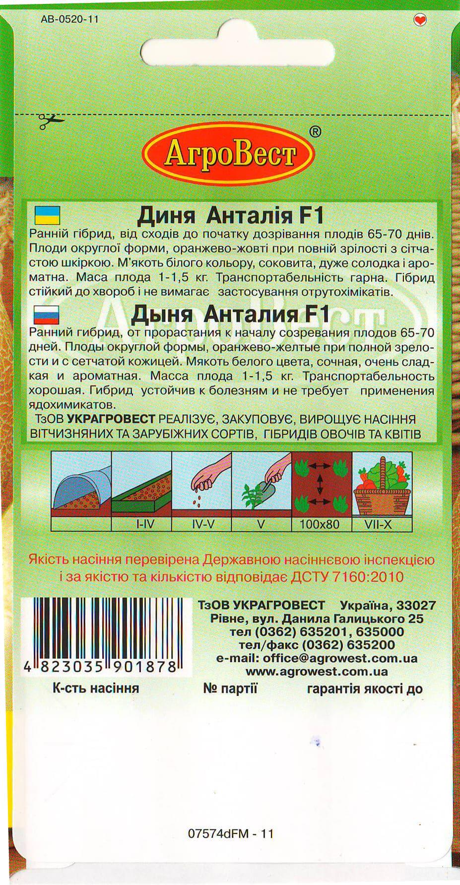 Насіння АгроВест диня Анталія F1 10 шт. (19107) - фото 2 Насіння АгроВест диня Анталія F1 10 шт. (19107) - фото 2