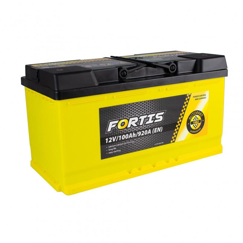 Аккумулятор Fortis Euro FRT100-00 100Ah 12V