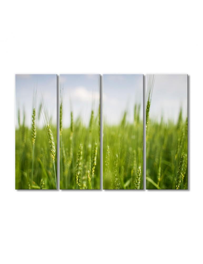 Картина модульная Поле колосков 4 модуля 70x105 см