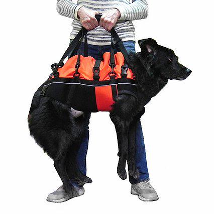 Поддержка для всего туловища Frakishtak для животных L Красный/Черный (28504389) - фото 2 Поддержка для всего туловища Frakishtak для животных L Красный/Черный (28504389) - фото 2