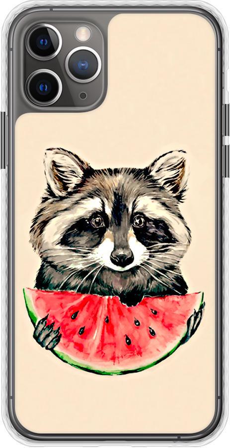 Чехол на iPhone 11 Pro Max Енотик с арбузом (4605pc-1723-42517)