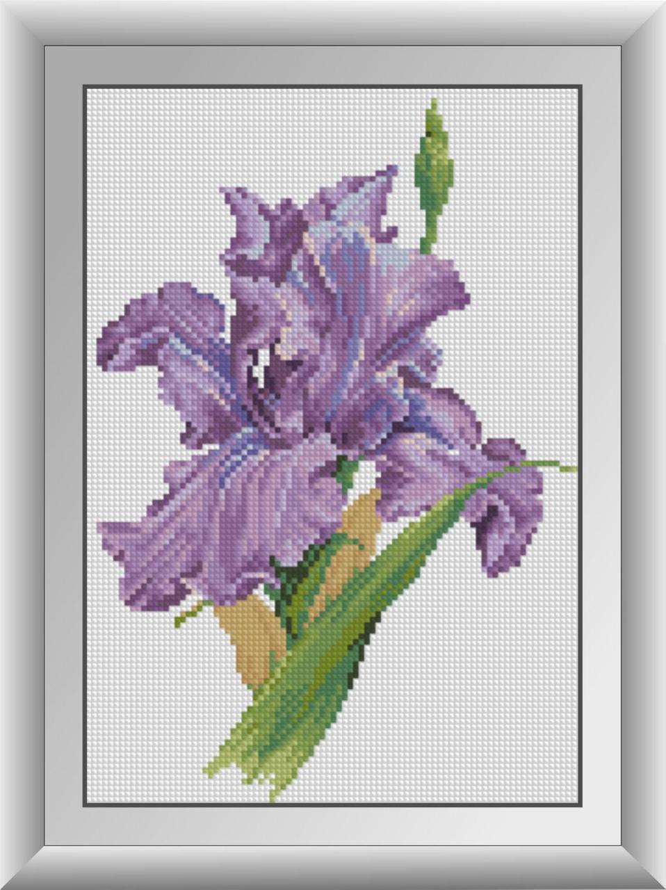 Алмазная мозаика Dream Art Ирис 22x32 см (DA.30336)