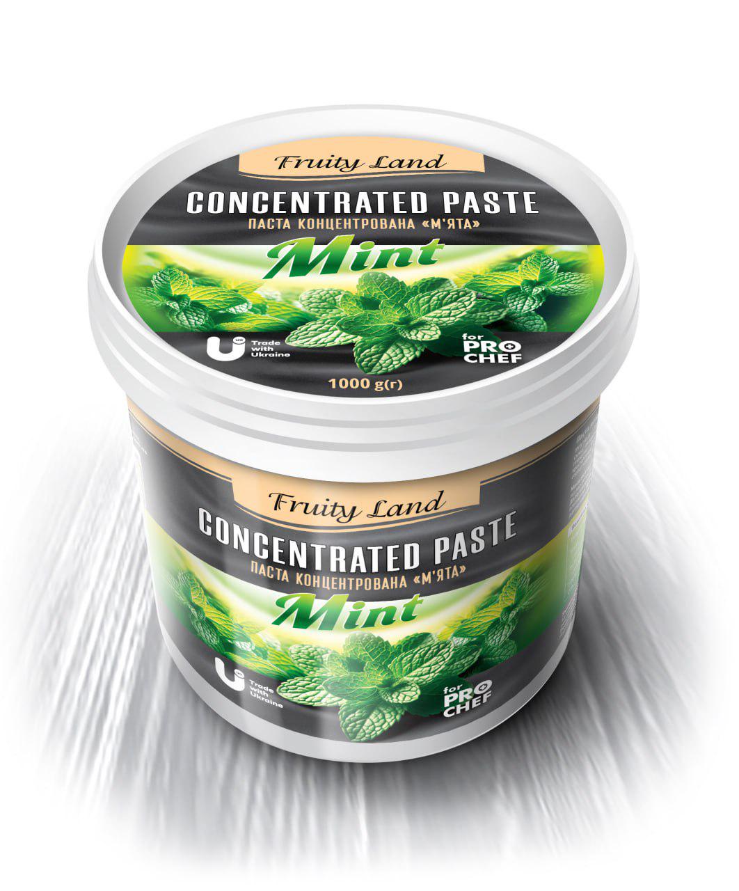 Паста концентрированная Fruity Land Мята 1 кг