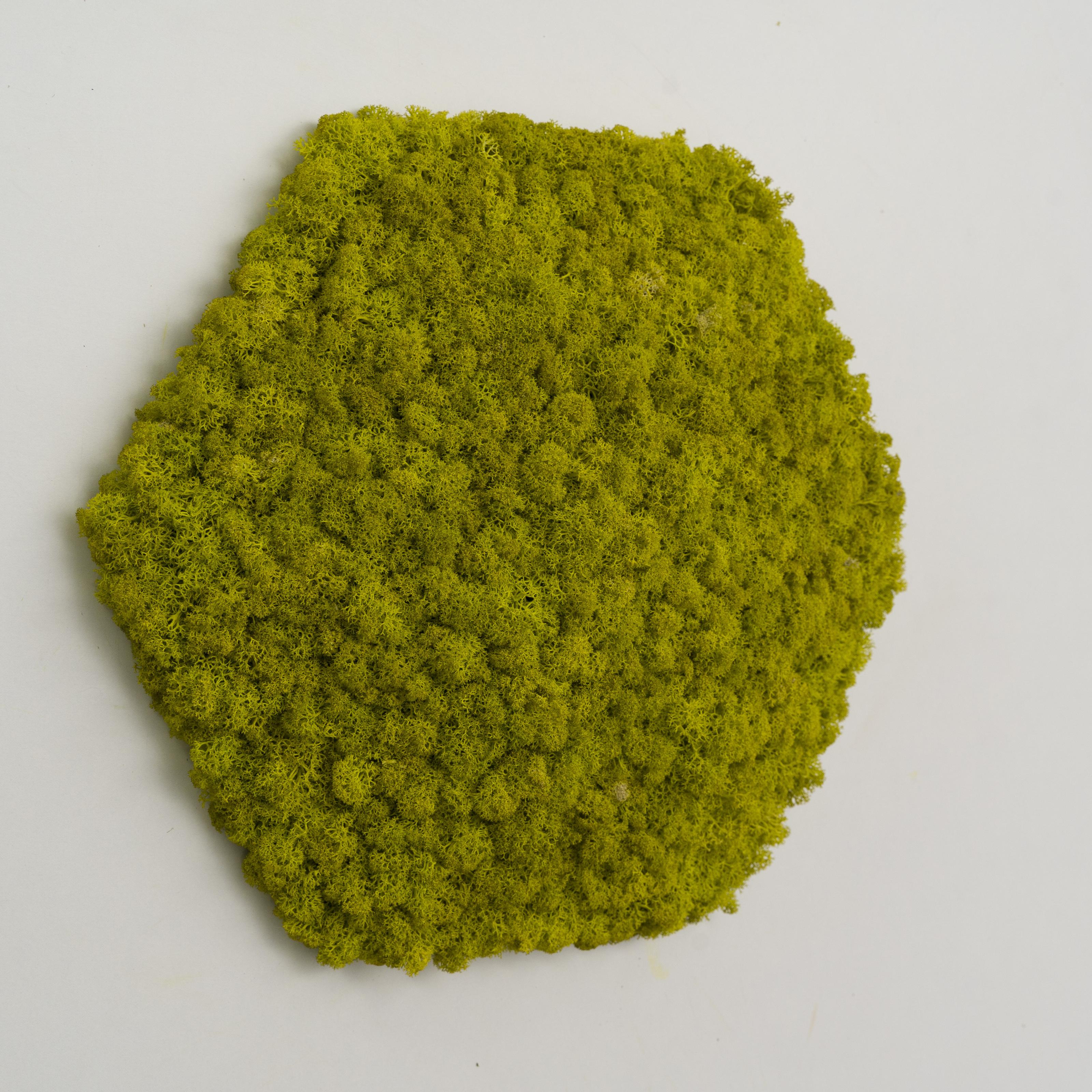 Декоративне панно з моху Organic Design шестикутникова панель 33 см Lime Green (702-01)