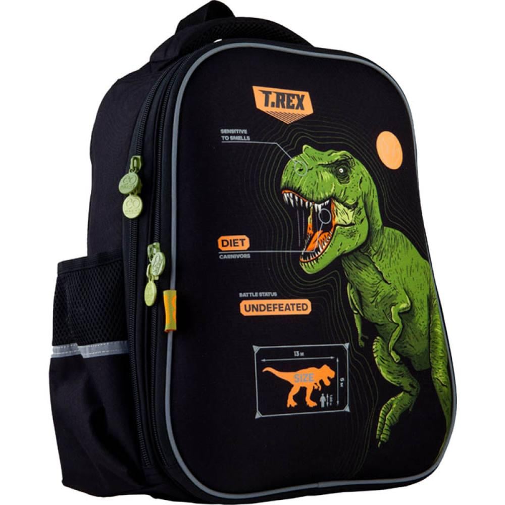 Рюкзак для школы GoPack Education полукаркасный 165-6 Dinosaur (GO21-165M-6)