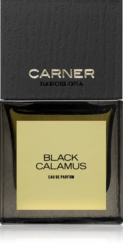 Парфюмированная вода Carner Barcelona Black Calamus 50 мл (2465_4213)